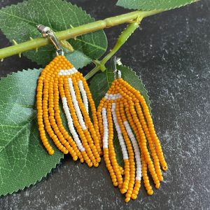 Colorblock Tassle Earrings
